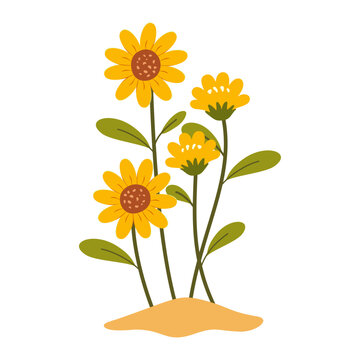 Flat Cartoon Yellow Wildflower and Sunflower Botanical Illustration