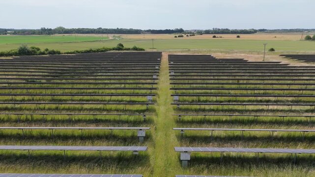 Rows of solar panels stretch across open farmland