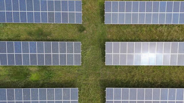 Rows of solar panels stretch across green fields