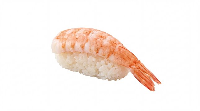 Traditional Ebi Nigiri Sushi with Boiled Shrimp on Seasoned Rice Isolated on White Background