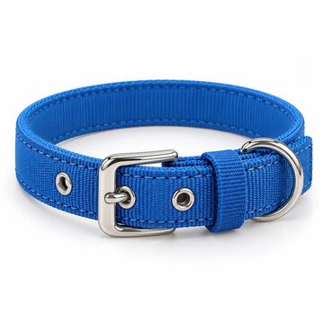 Bright blue fabric pet collar with silver buckle and dring for leash