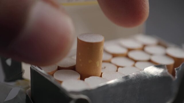 Cigarettes arranged in a box with one prominently displayed