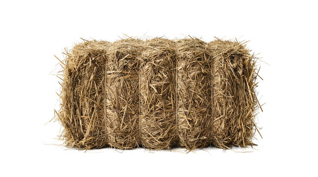 Golden hay bale for agricultural feed and farming, compact rectangular straw bale for livestock bedding and harvest decor isolated PNG with Transparent Background