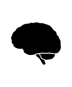 A simple black silhouette icon of a human brain isolated on a white background for medical concepts