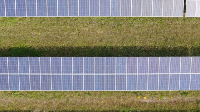 Rows of solar panels stretch across green fields