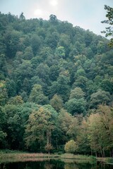 Fototapeta premium mountain landscape with trees