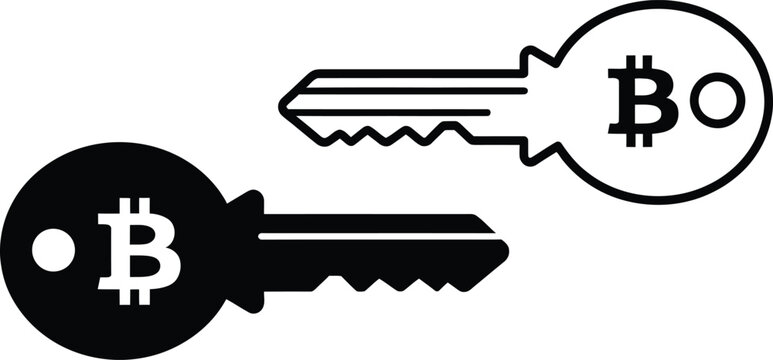 Two metallic keys each displaying a bitcoin symbol represent the security and access of digital currencies