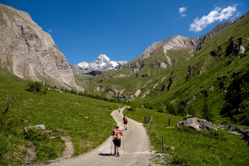 Obraz premium Den Großglockner im Blick,Wanderer im Ködnitztal