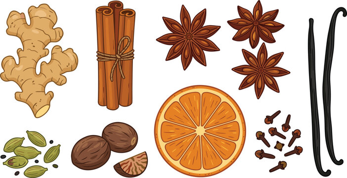 Aromatic Winter Spices and Baking Ingredients Vector Set with Ginger Cinnamon Star Anise Vanilla Pods Dried Orange Slice Nutmeg and Cloves for Recipe Designs