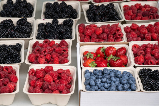 Beautiful view to red berries for sale in Whistler, BC, Canada