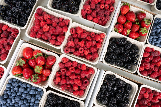 Beautiful view to red berries for sale in Whistler, BC, Canada