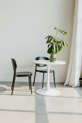 Fototapeta premium Modern table with monstera plant in sunlit room