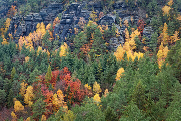 Sandstone rocks above the autumn colorful forest with yellow birches and green pines © altocumulus