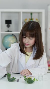 Young Asian Student in Lab Coat Studying Plant Biology in Classroom