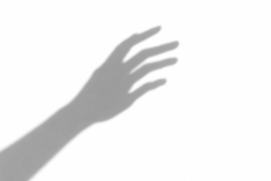 hand shadow silhouette