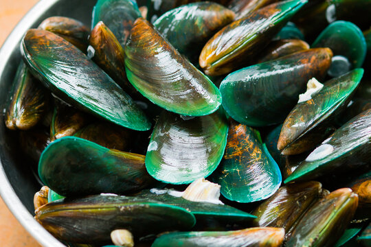 Green mussels are shelled animals. for cooking