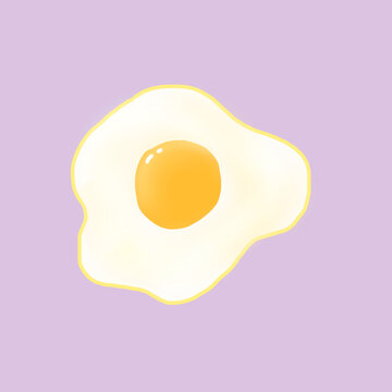 fried egg vector illustration