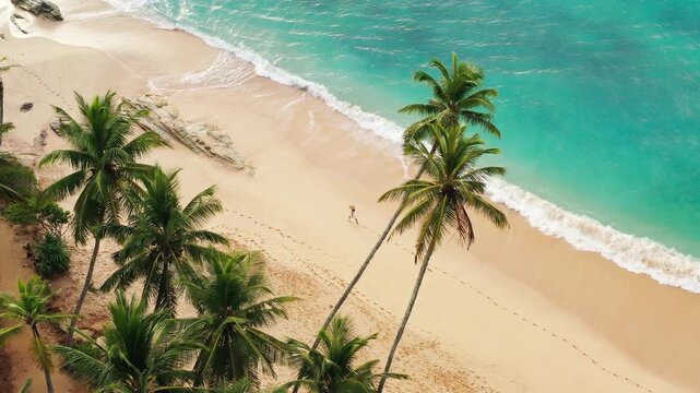 Woman Walking on a Tropical Sandy Beach with Palm Trees Overhead View