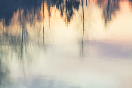 Trees and sky are reflecting in the water of lake at sunset