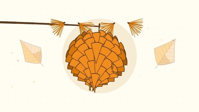 Gentle 4K seamless loop showing pine cone scales opening spiral in a clean flat vector style with orange and amber colours and a bright light backdrop. Slow natural movement and generous copy space. W