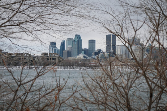 City skyline seen through bare winter branches in Montreal, Quebec, Canada