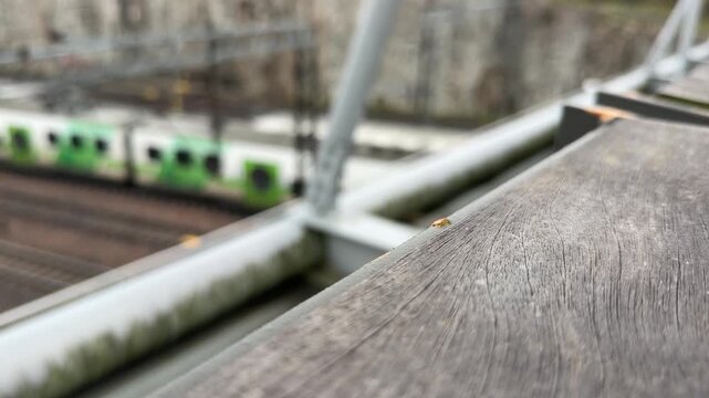 Train Passing Behind a Wooden Railing in Autumn Helsinki