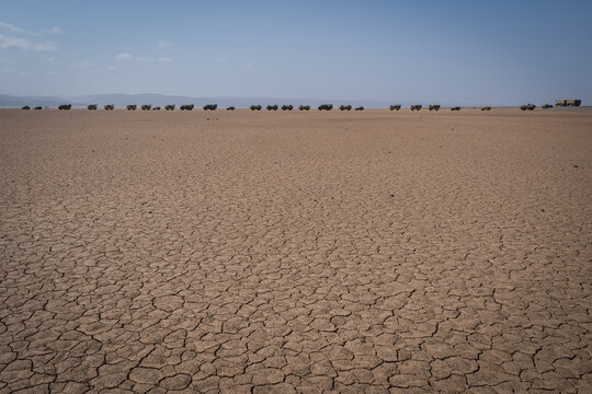 Military convoy forming a line on a cracked desert plain during French Army officer cadet training in Djibouti
