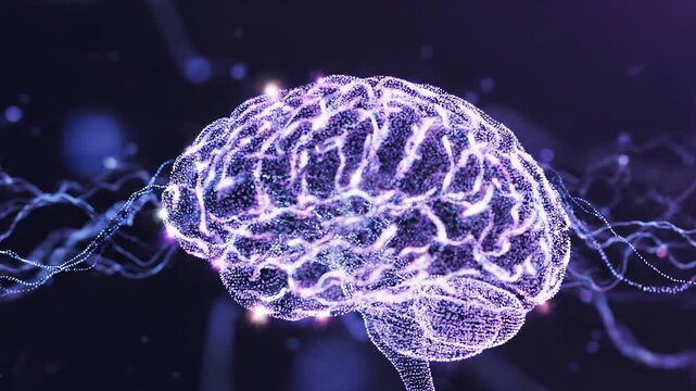 This shows the inner workings of the brain through visual representations of neural connections and activity. It explores how signals move and