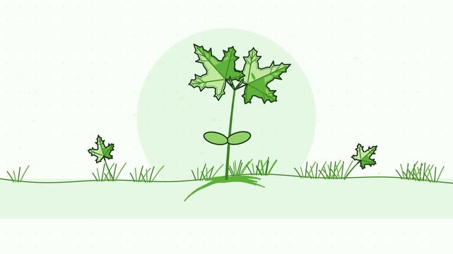 Gentle 4K seamless loop showing tree seedling stretching upward returning in a clean flat vector style with fresh green colours and a bright light backdrop. Slow natural movement and generous copy spa