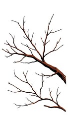 Fototapeta premium bare branch set vector symbol icon design beautiful illustration isolated on white background, geometric, minimalist