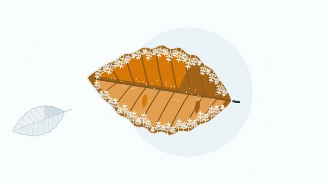 Seamless 4K looping animation of frost pattern leaf edge growing, drawn as a minimal flat vector scene in orange and amber tones on a soft light background. Calm, gentle motion with plenty of empty sp