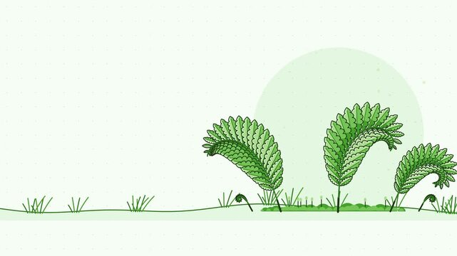 Seamless 4K looping animation of fern unfurling spiral rolling back, drawn as a minimal flat vector scene in fresh green tones on a soft light background. Calm, gentle motion with plenty of empty spac
