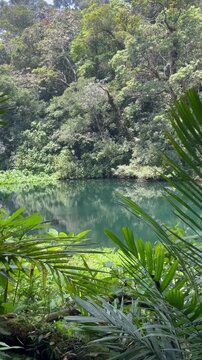 Telaga Biru Cibodas on the Trail to Cibeureum Waterfall, West Java, Indonesia