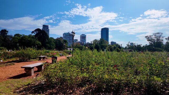 Rose garden view in Tres de Febrero Park, Buenos Aires, Argentina