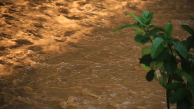 The river water flows murky due to the strong current