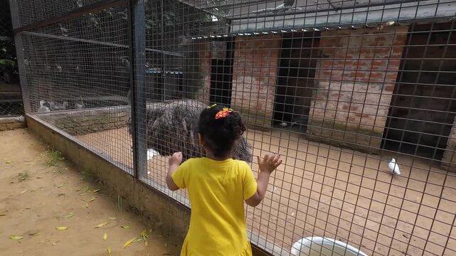Little Girl Interacting with a Large Bird at a Farm