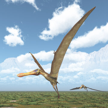 Flugsaurier Anhanguera in einer Landschaft