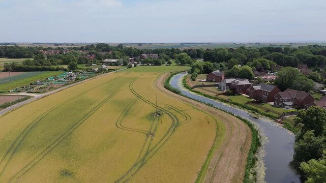 Golden field curves beside calm river