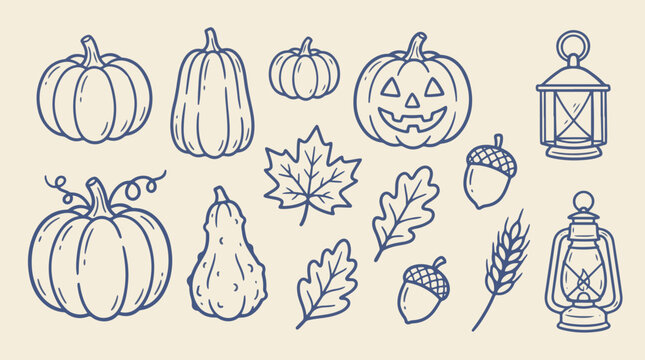 Autumn pumpkins gourds leaves and lanterns hand drawn vector set
