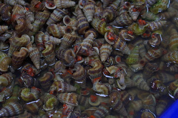 Pile of fresh raw turret shells (sea snails) displayed for sale at a local seafood market. © Supapit