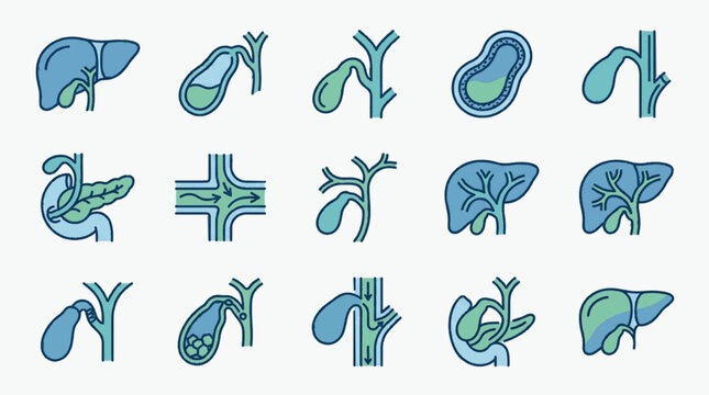Comprehensive collection of 15 stylized medical icons featuring the human liver, gallbladder, pancreas, and biliary system with gallstones, bile ducts, and internal organ anatomy.