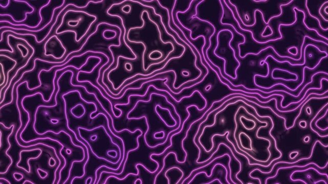 Topographic contour lines seamless loop map pattern neon pink purple dark terrain elevation rings shift and flow for tech intros data visuals VJ sets and geography themed backgrounds