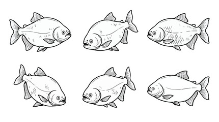 Obraz premium Pacu Fish Vector Line Art Set for Freshwater Fishing and Amazonian Wildlife Icons 
