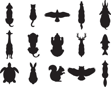 Set of black silhouette animals viewed from above isolated icons