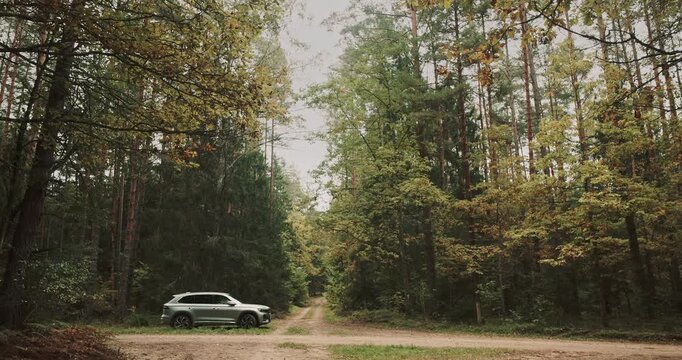 SUV Car Parked on Dirt Road Crossing Pine Forest in Autumn