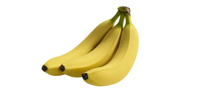 Isolated bunch of fresh ripe yellow bananas, sweet organic tropical fruit healthy snack