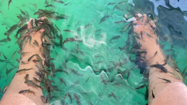 Fish Pedicure Treatment for Feet Care in Relaxation Spa. Close up of fish spa treatment with garra rufa fish nibbling on human foot underwater, exfoliation and wellness therapy.
