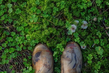 Worn boots stand still on mossy ground. Tiny white flowers peek through green leaves. Nature's quiet embrace feels peaceful. Ideal for tranquil outdoor or hiking themes © Hanna