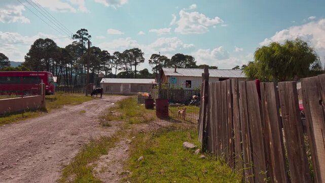 Rural dirt road leading past simple corrugated metal buildings with a dog near a fenced yard. Red vehicle and utility wires add everyday countryside details beneath a bright blue sky.