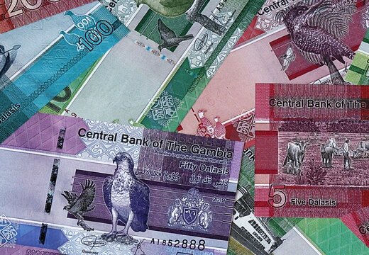 Gambian dalasi money bills in pile. Big amount of Gambia GMD currency cash close up